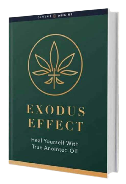 Exodus Effect reviews