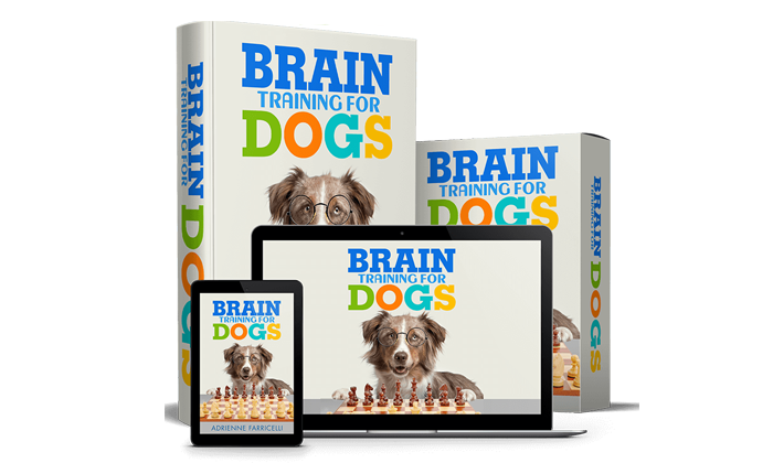 Brain Training For Dogs review