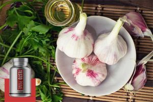 TestoPrime Ingredient-Garlic Extract
