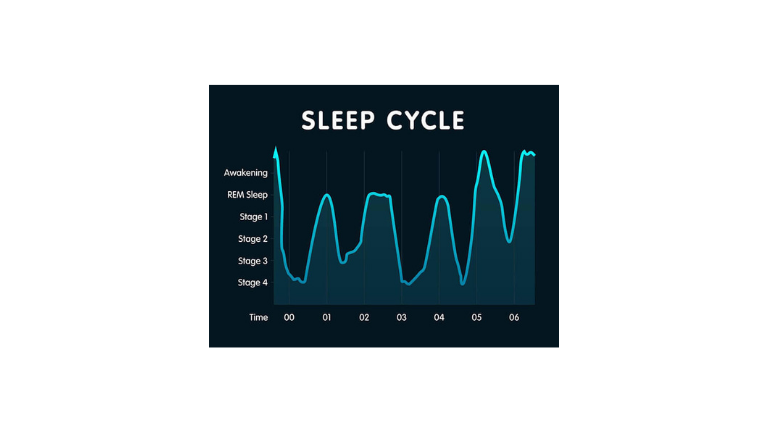 Moonlight Manifestation Sleep cycle