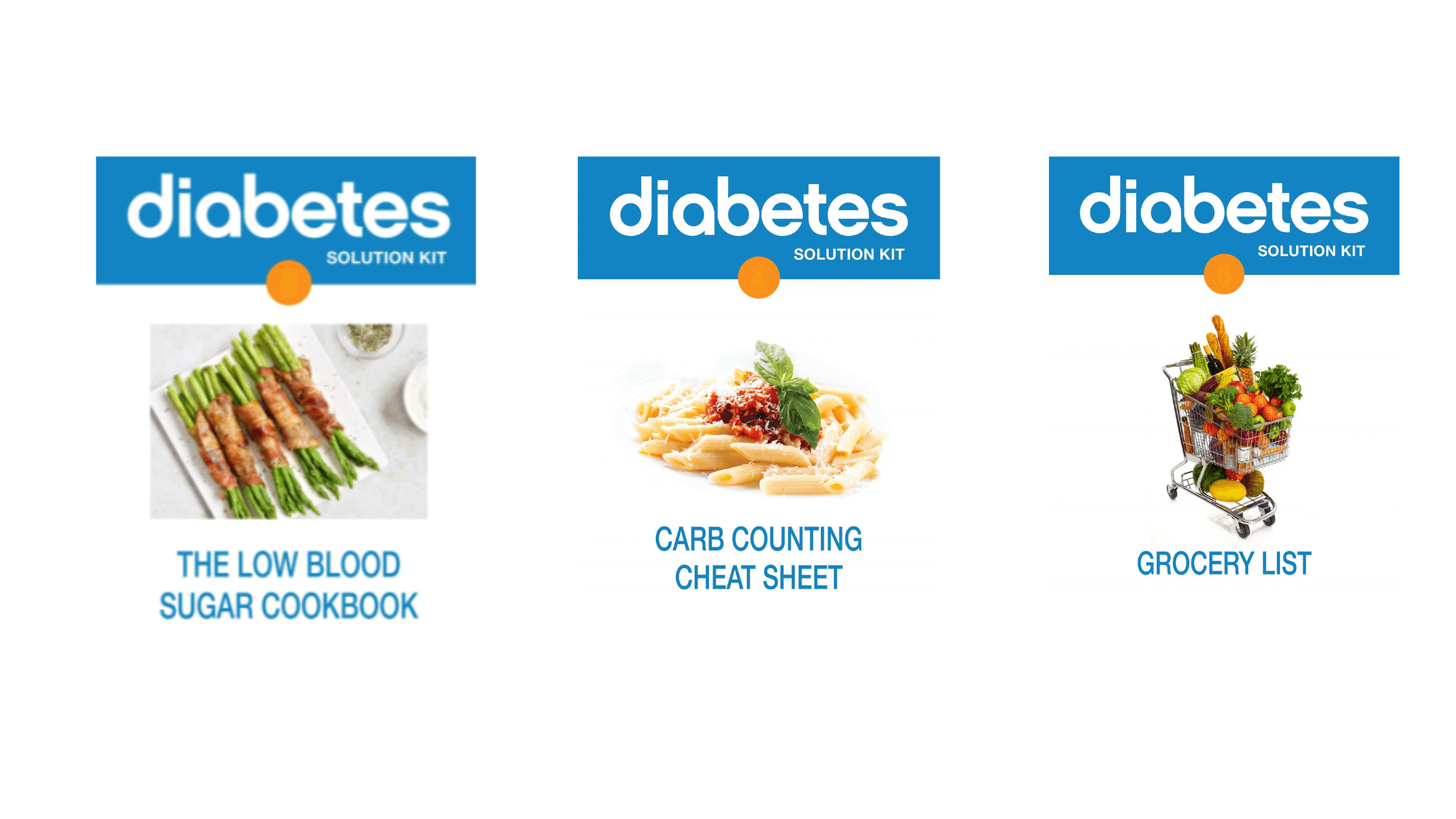 Diabetes Solution Kit - Bonuses