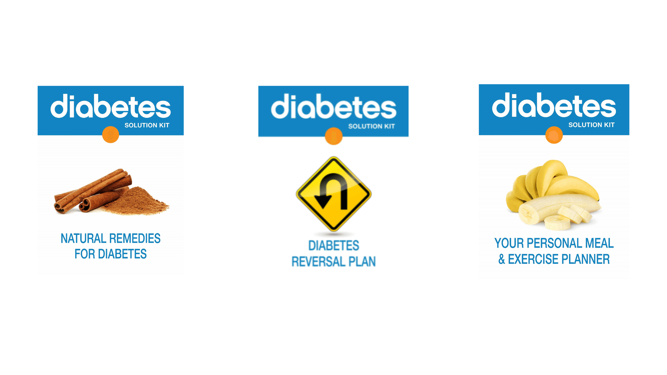 Diabetes Solution Kit - Included