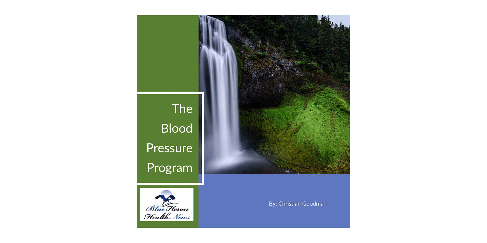 The-Blood-Pressure-Program-Reviews