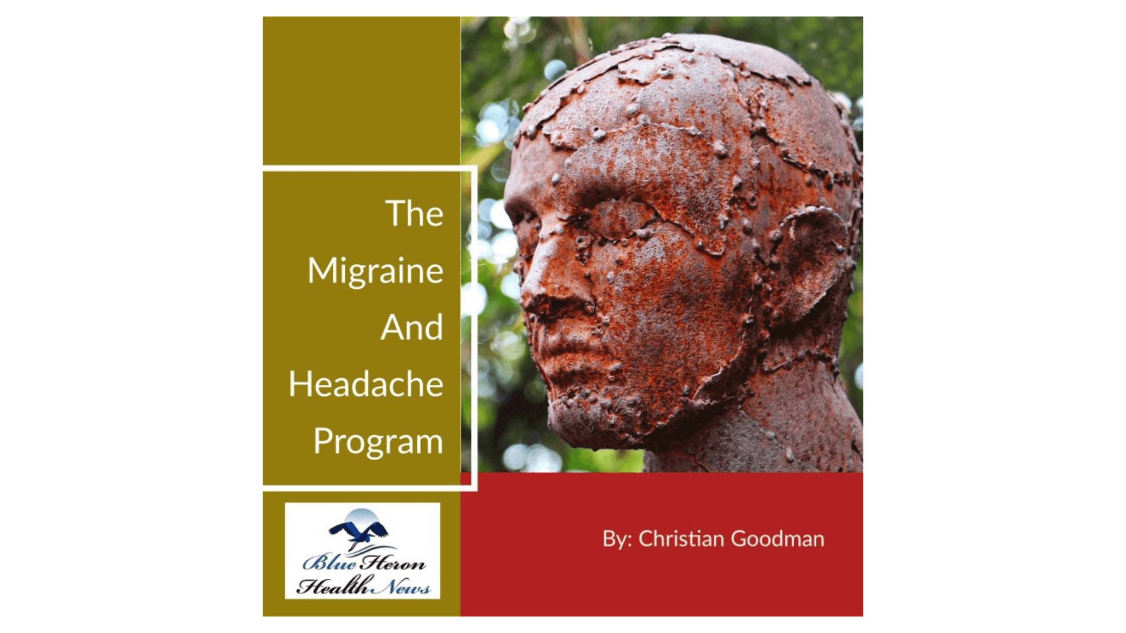 The Migraine And Headache Program Reviews