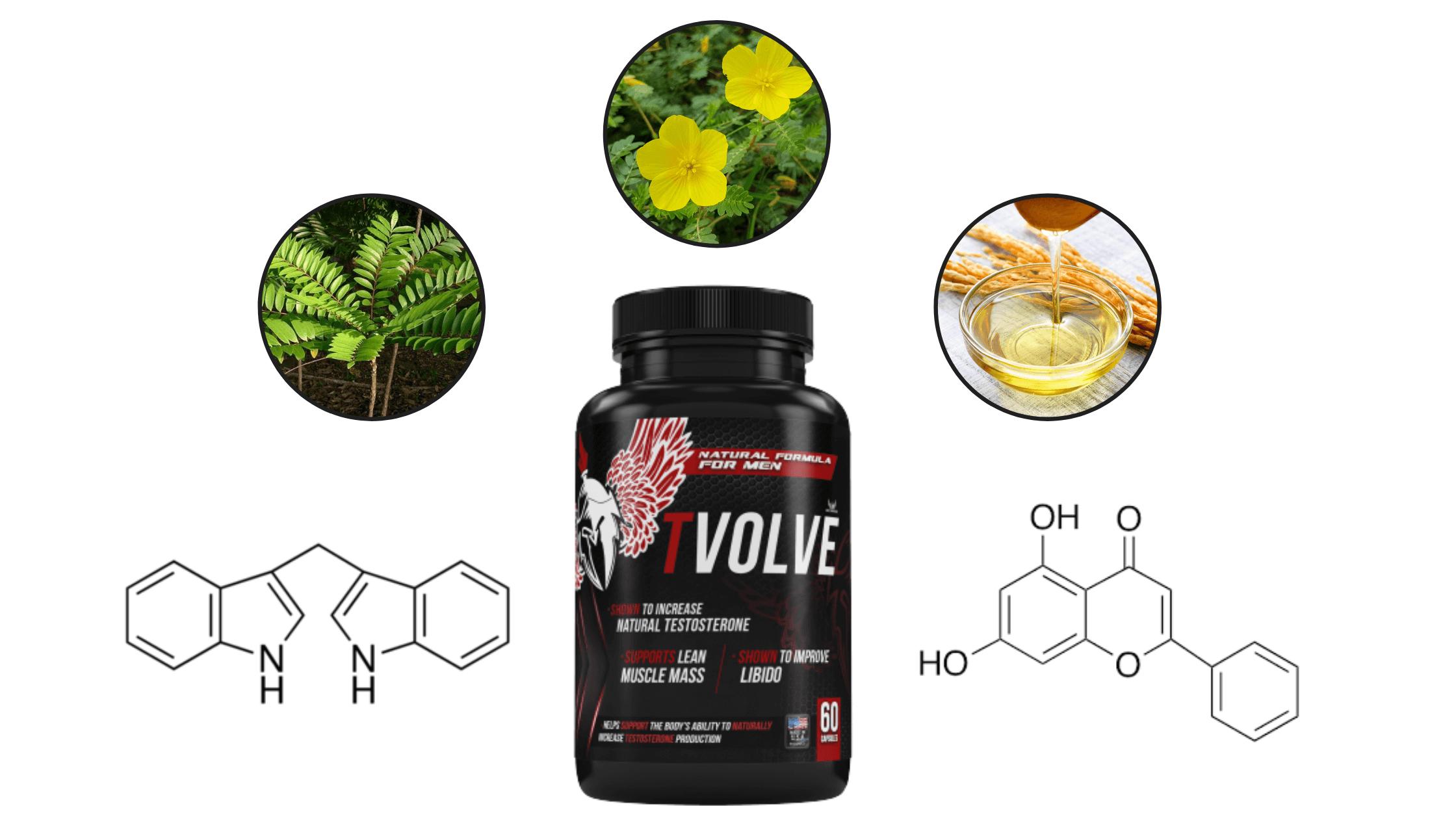TVolve GT5 Muscle Complex Ingredients