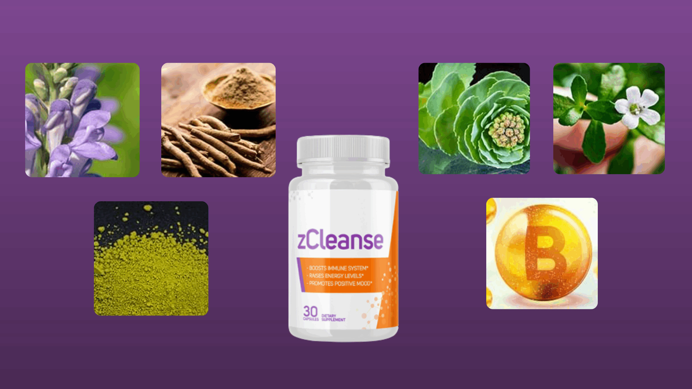 zCleanse Ingredients