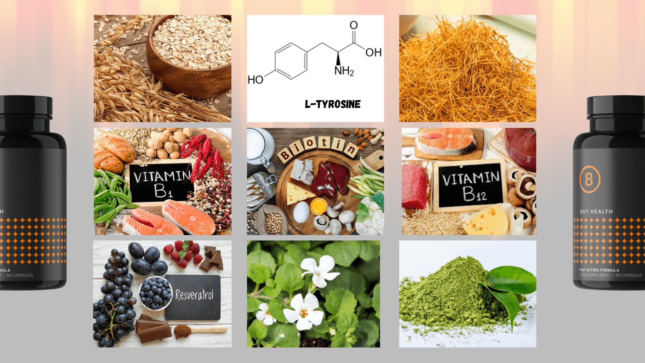 Biotics 8 Ingredients