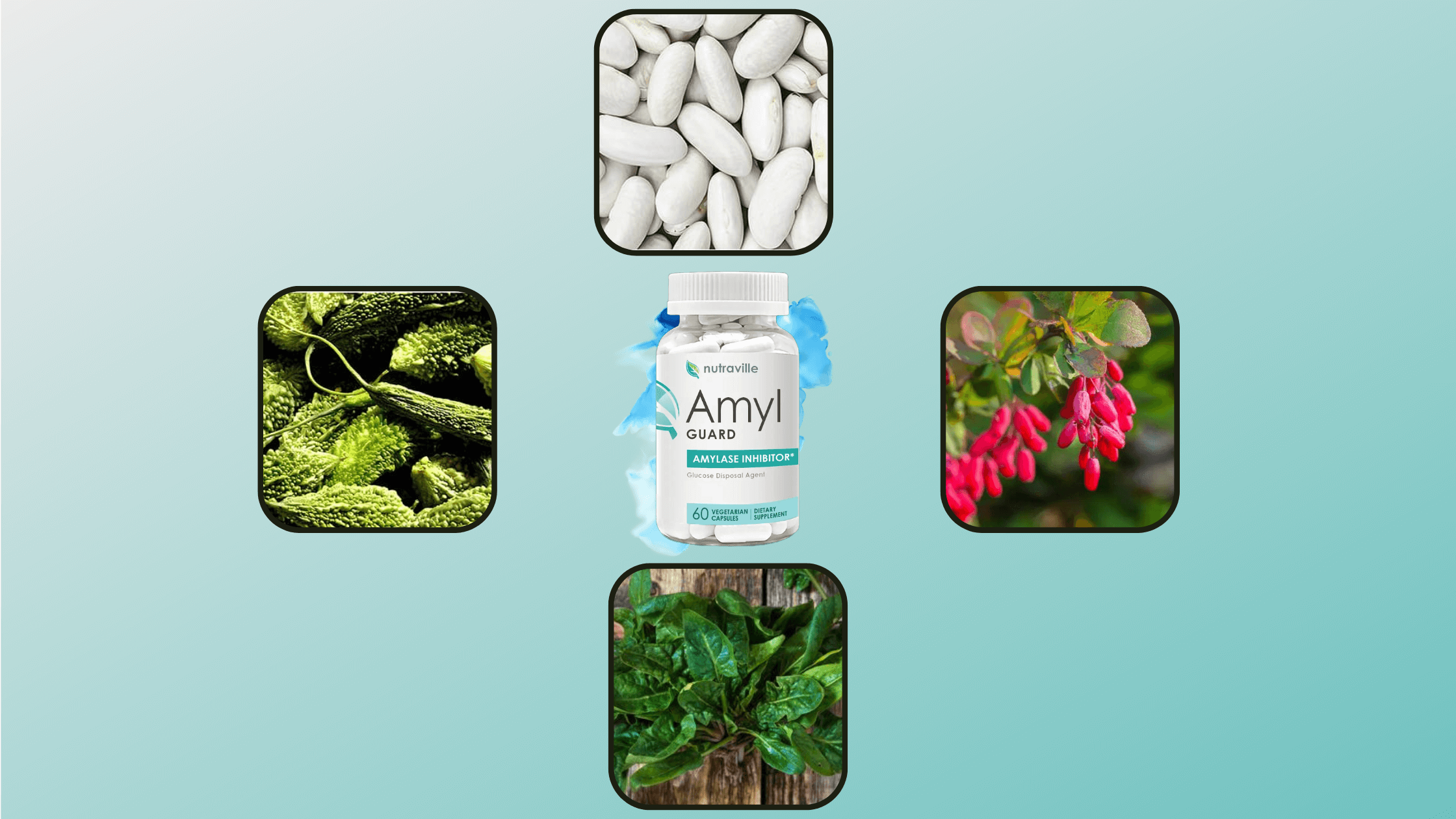 Nutraville Amyl Guard Ingredients