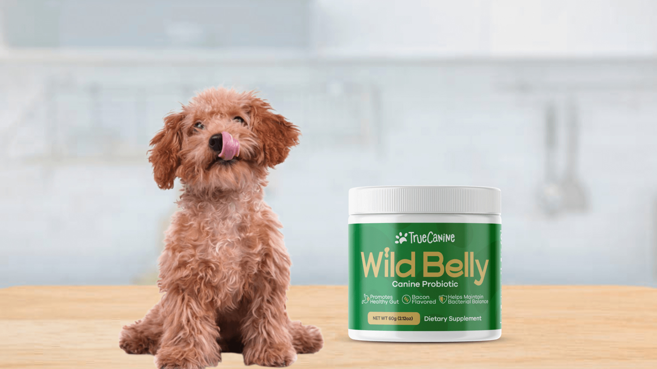 Wild Belly Dog Probiotic Supplement Reviews
